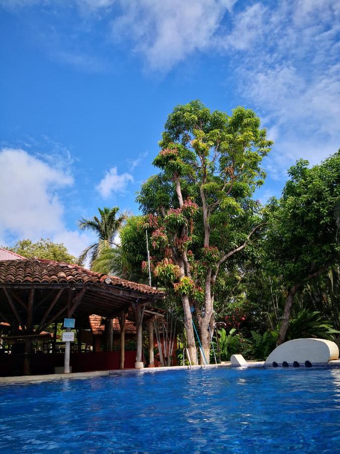 Hotel Nany Brasilito Eksteriør billede